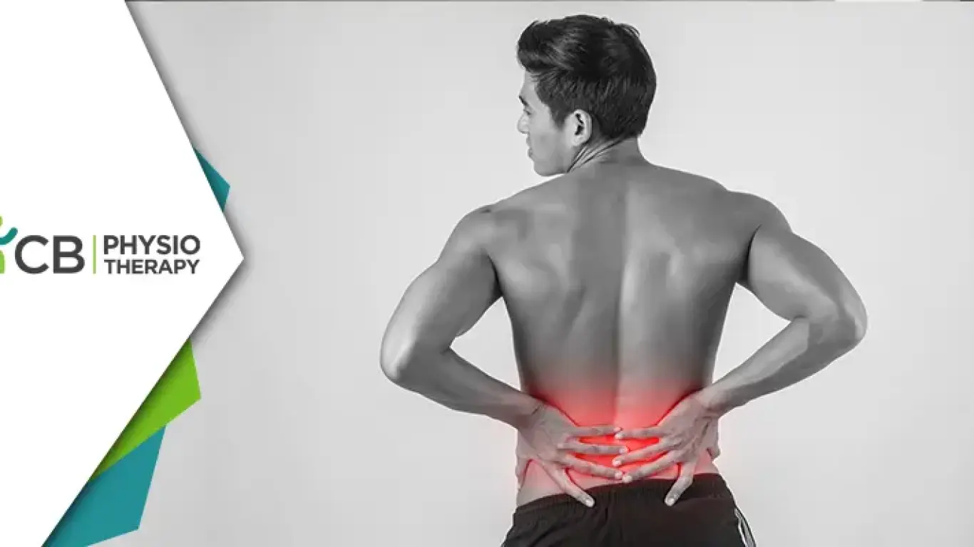 Back In Action: Treating And Preventing Back Pain By Physiotherapy