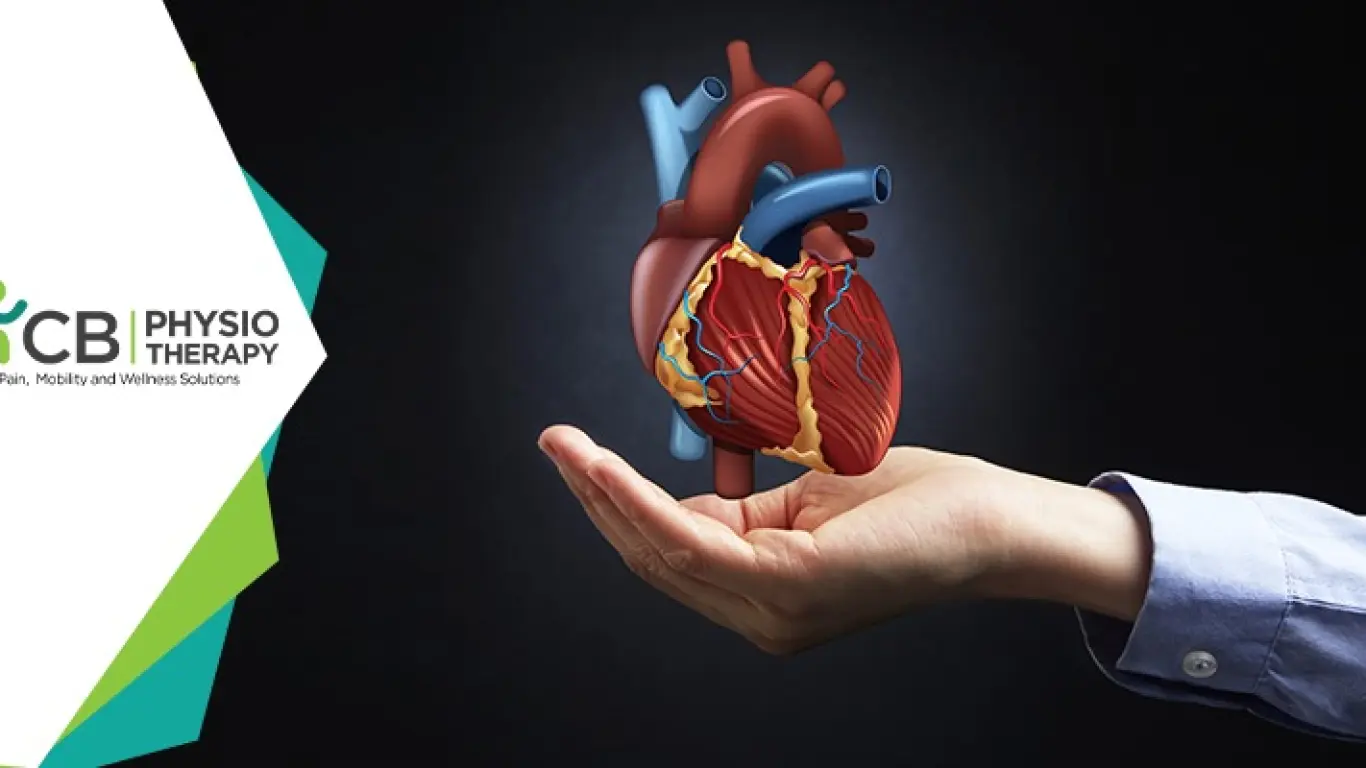 Cardiac Rehabilitation | Best Exercises After Heart Surgery