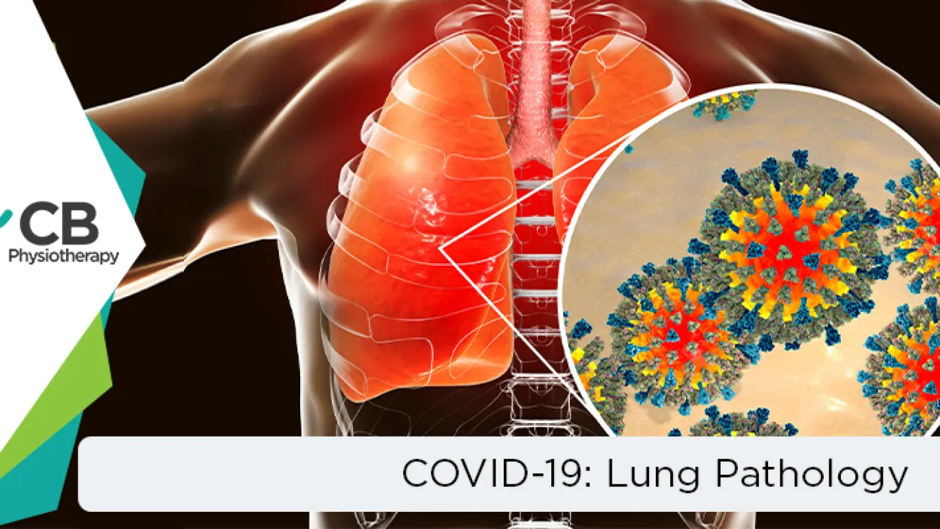 Covid-19 And Related Lung Pathology