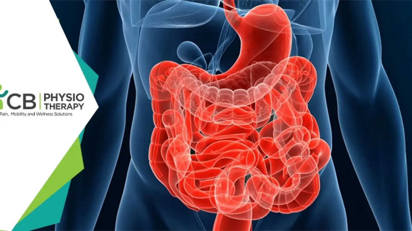 Management And Prevention Of Bowel Dysfunction By Physiotherapy