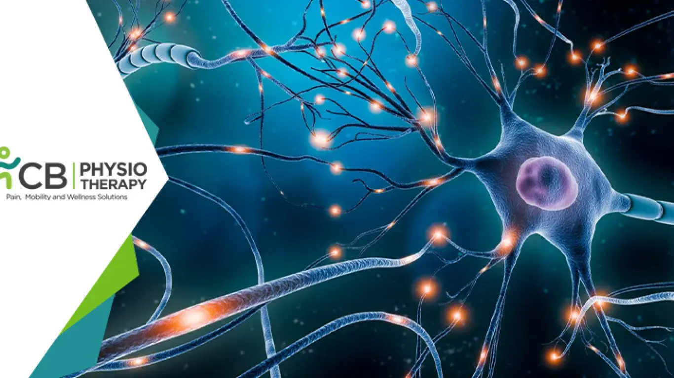 Multiple Sclerosis: Regaining Of Strength And Function By Physiotherapy