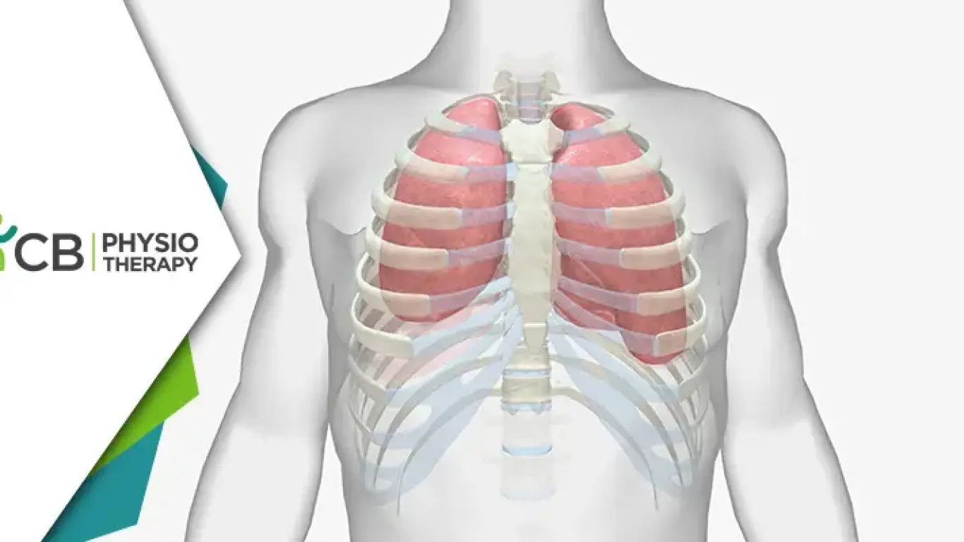 Reviving Comfort | The Crucial Role Of Physiotherapy In Costochondritis Recovery