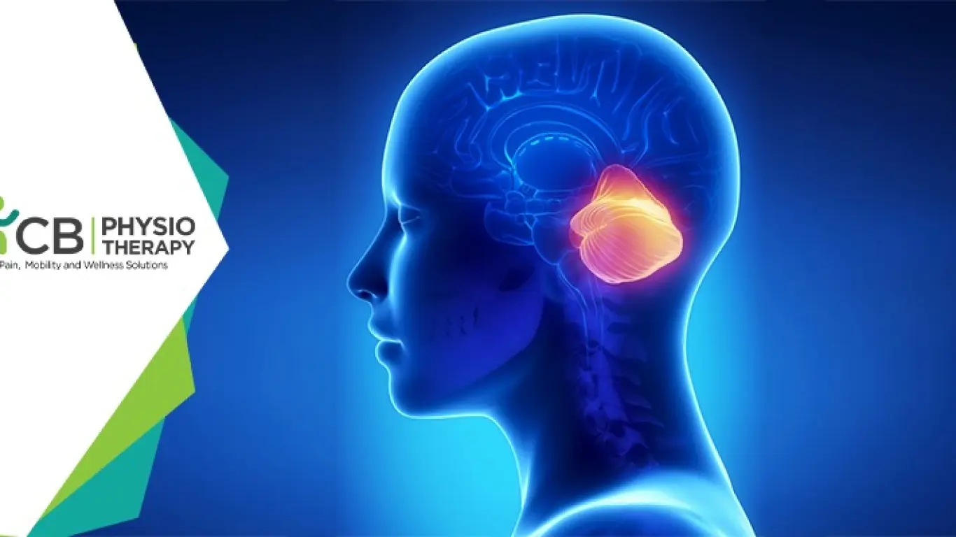 Top 10 Exercises For Cerebellar Ataxia Patients