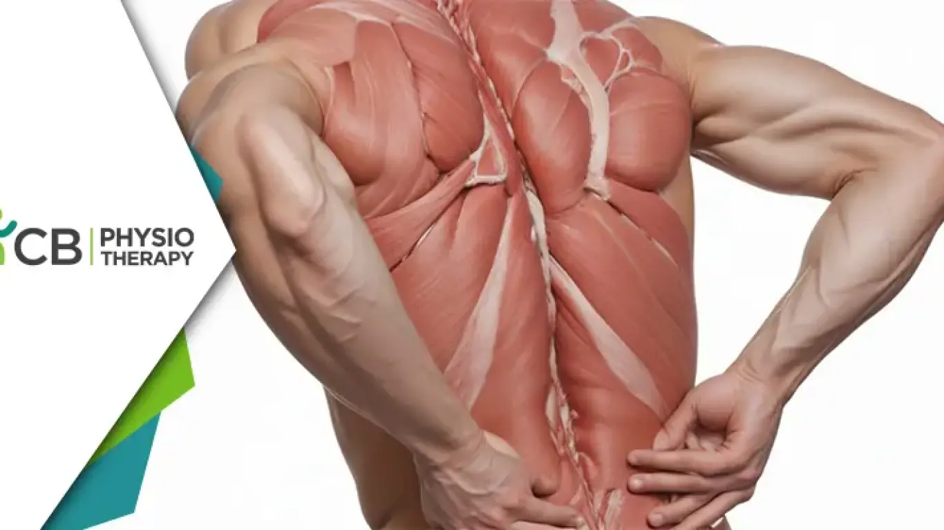 Understanding The Link Between Muscle Weakness And Joint Pain | The Essential Role Of Physiotherapy