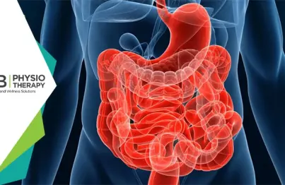 Management And Prevention Of Bowel Dysfunction By Physiotherapy