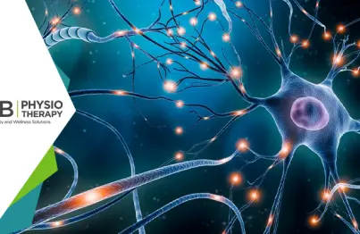 Multiple Sclerosis: Regaining Of Strength And Function By Physiotherapy