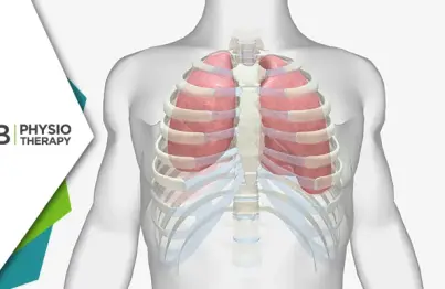 Reviving Comfort | The Crucial Role Of Physiotherapy In Costochondritis Recovery
