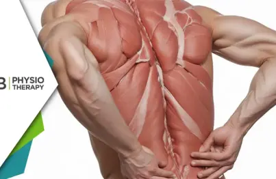 Understanding The Link Between Muscle Weakness And Joint Pain | The Essential Role Of Physiotherapy