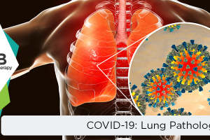 Covid-19 And Related Lung Pathology