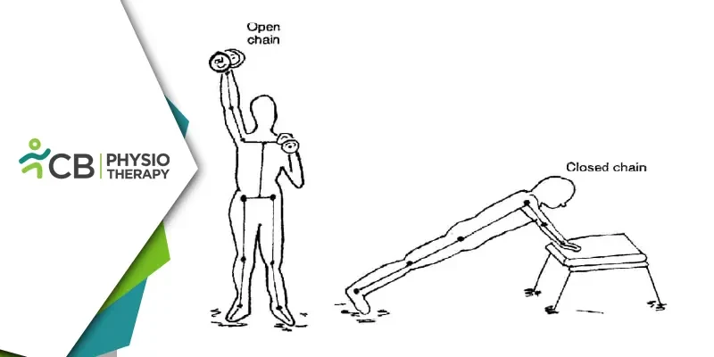 From Strength To Recovery | The Essential Role Of Kinematic Chain Exercises In Physiotherapy