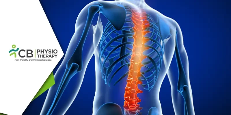 Top 20 Exercises After Spinal Injury To Improve Range Of Motion