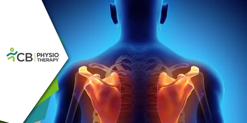 Transform Your Shoulder Health | The Unique Benefits Of Scapular Strengthening And Physiotherapy