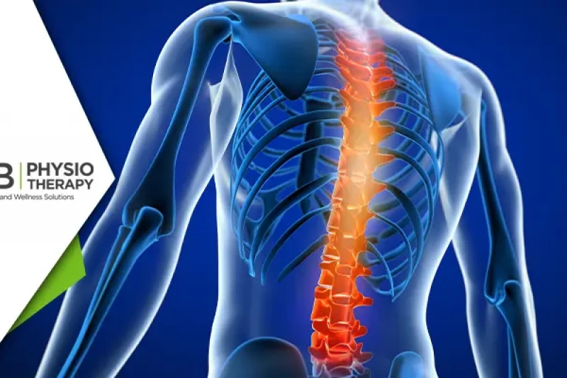 Top 20 Exercises After Spinal Injury To Improve Range Of Motion