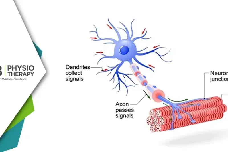 मोटर न्यूरॉन घावों और संबंधित रोगों को समझना
