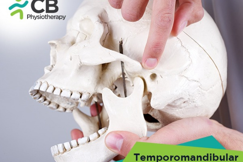Temporomandibular Joint (tmj)