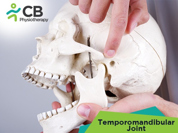 Temporomandibular Joint (tmj)