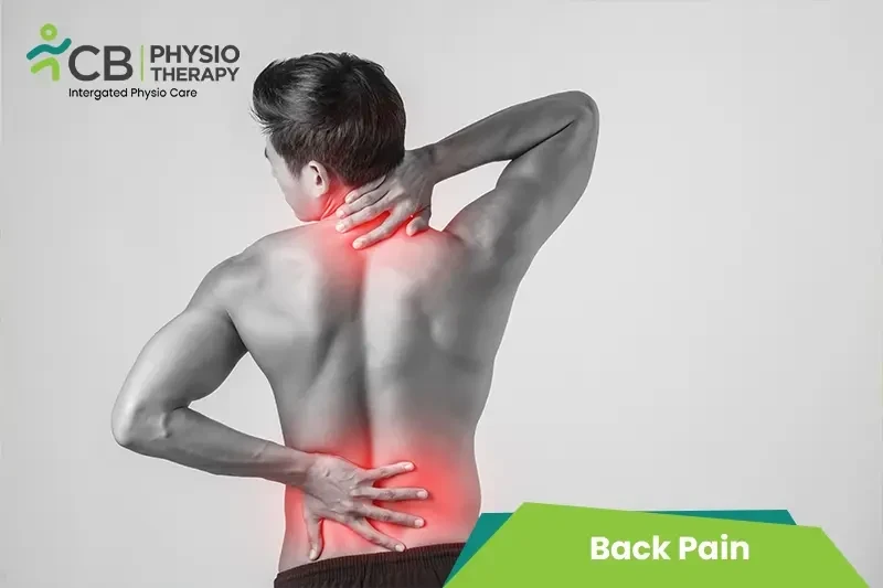 Top 5 Exercises For Back Pain