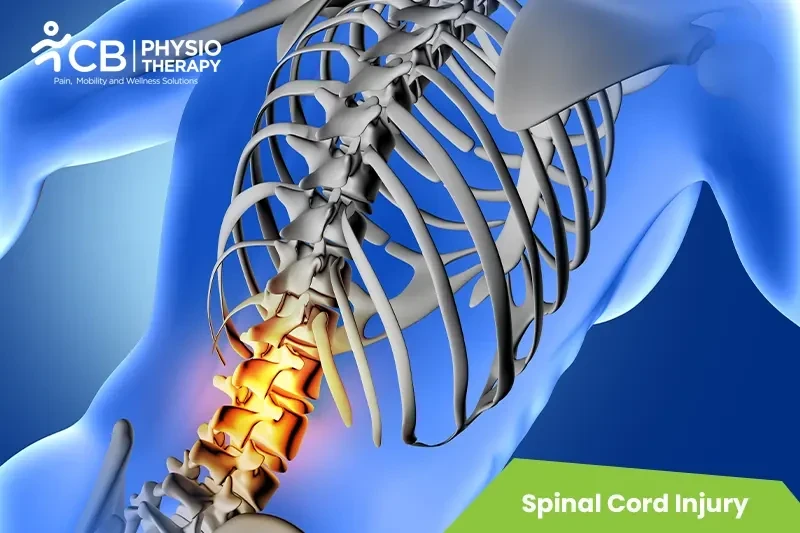 Top 5 Exercises For Spinal Cord Injury