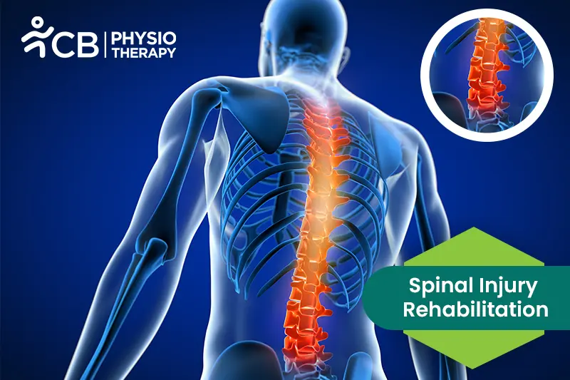 Spinal Injury Rehabilitation